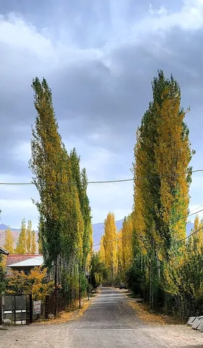 تصویر 3 - کلبه بومگردی باغ بهشت وشته در طالقان