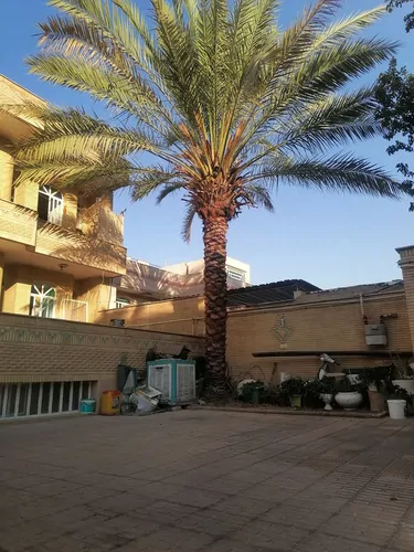 تصویر 16 - آپارتمان مبله آرامش در  شیراز