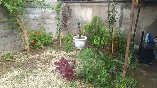 تصویر 4 - ویلا ویلایی دو خوابه کاملا دربستی محیطی کاملا آرام در رودسر