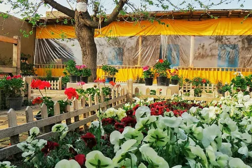 تصویر 2 - اقامتگاه بوم‌گردی عمارت کوچه باغ در شاندیز