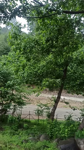 تصویر 10 - ویلا جنگلی مقدم کنار رودخانه در اسالم