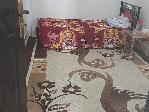 تصویر 8 - خانه مبله زیتون در  ایذه