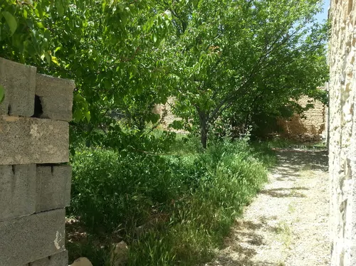 تصویر 9 - خانه مبله دنا(کد ۱۰۱) در  سمیرم
