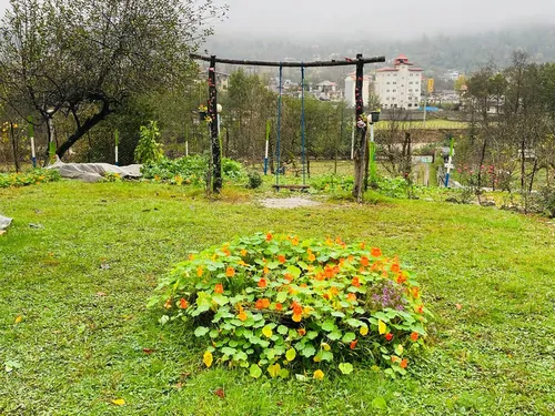 تصویر 10 - ویلا ماکلوان در  ماسوله 