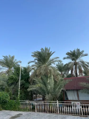 تصویر 9 - سوییت طالبی (۱۰۵) در  آبادان