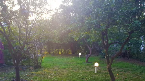 تصویر 3 - ویلا داداش نژاد 823 در خزرشهر