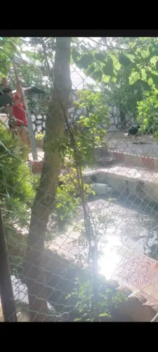 تصویر 4 - ویلا شخصی سپرده به املاک مهراب پاکدشت در پاکدشت