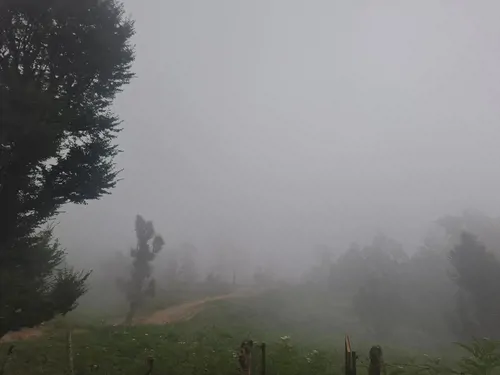 تصویر 28 - کلبه چوبی پدر  در  ماسال