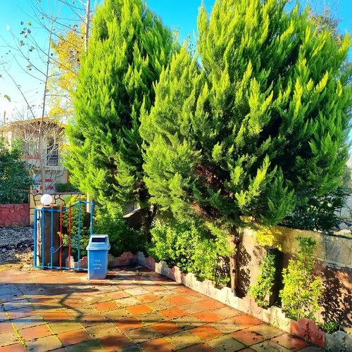 تصویر 2 - ویلا ویلای خانوادگی ویودار در زیبا کنار