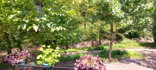 تصویر 4 - ویلا 👋🦔برای خانواده تان در ویلا ما خاطره ای  به‌ یاد ماندنی بسازید 🙏🙏🙏           در ماسوله 