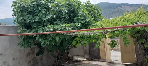 تصویر 3 - ویلا خانه ویلایی در ایذه