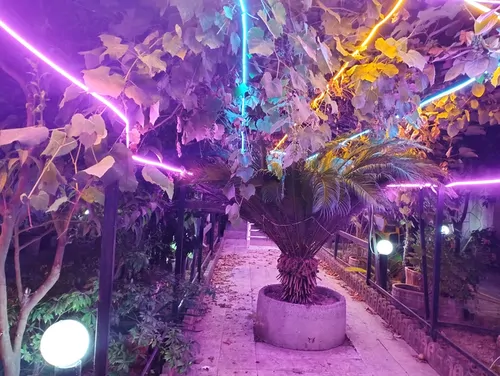 تصویر 2 - ویلا ویلا باغ  در سرخ رود