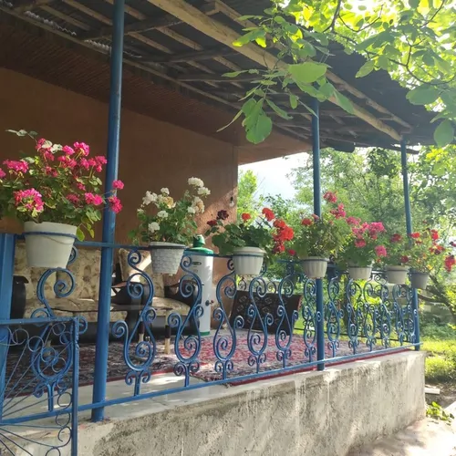 تصویر 3 - ویلا طاسکوه در ماسال