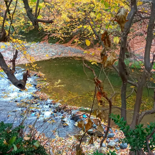 تصویر 5 - کلبه هیرکانی در  رستم آباد