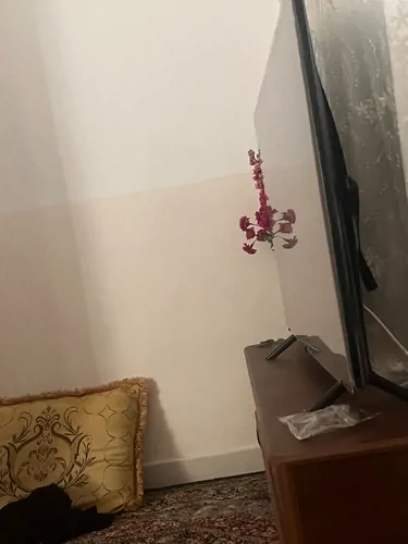 تصویر 4 - آپارتمان منزل مبله یک خوابه در کنگان