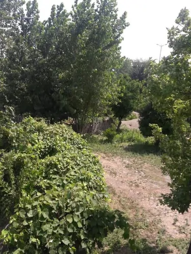تصویر 4 - ویلا رضوانشهر پره سر  در پره‌سر