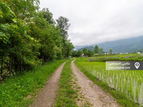 تصویر 20 - کلبه چوبی سینا در  ماسال