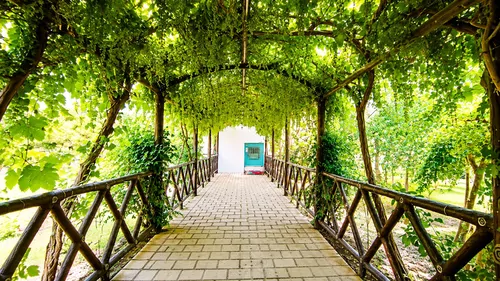 تصویر 12 - ویلا ترنج فین در کاشان