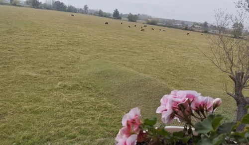 تصویر 21 - کلبه استخردار آبگرم مهراد در  ماسال