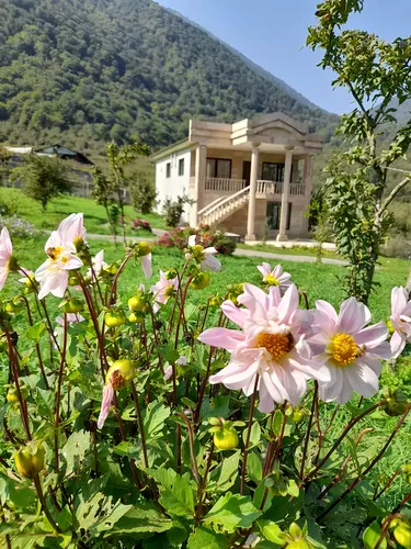 تصویر 22 - ویلا جنگلی لزیر واز در  چمستان