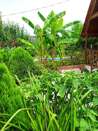 تصویر 19 - کلبه بابا حیدر  در  گرگان