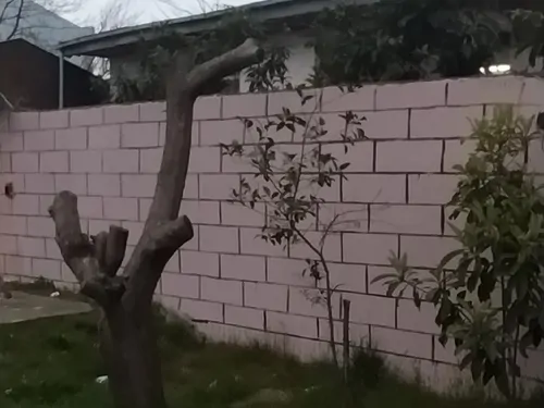 تصویر 3 - ویلا دارچین در انزلی