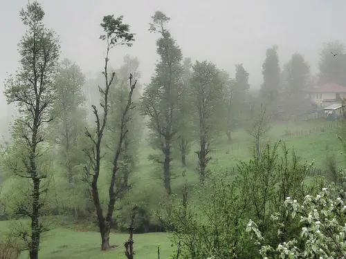 تصویر 13 - ویلا جنگلی آپادانا روستای استخرگاه در  رستم آباد