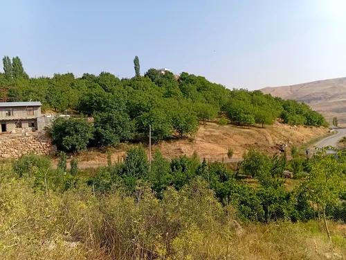 تصویر 5 - ویلا باغ ویلا  در  الیگودرز