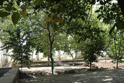 تصویر 22 - ویلا استخردار آبگرم فلاح  در  کوهسار