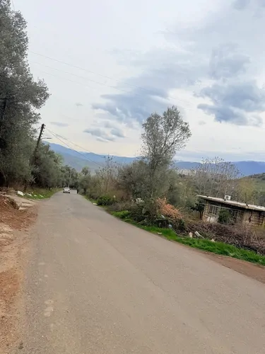 تصویر 20 - کلبه زیتون در رستم آباد