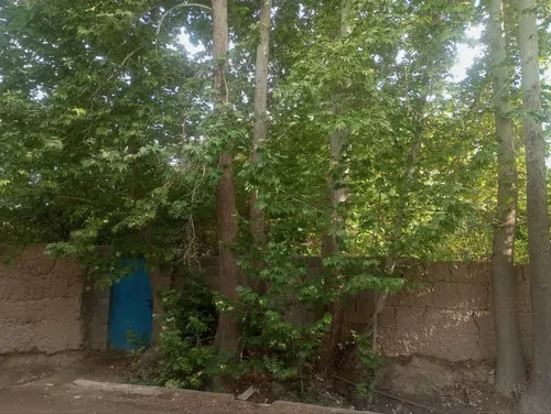 تصویر 10 - ویلا باغ دلگشا در  مهریز