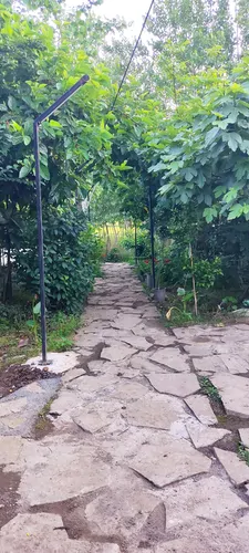 تصویر 27 - ویلا ریکا جان در  رودسر