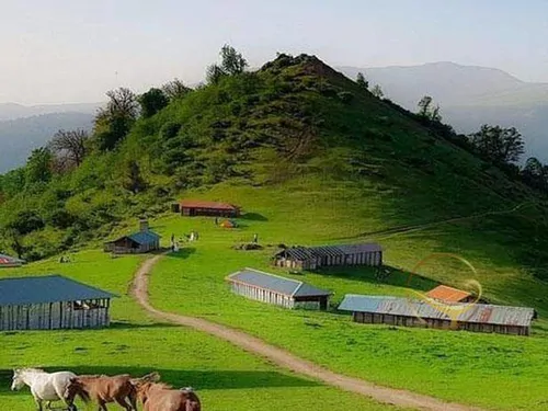 تصویر 5 - روستایی و عشایری تی شی نی در  املش