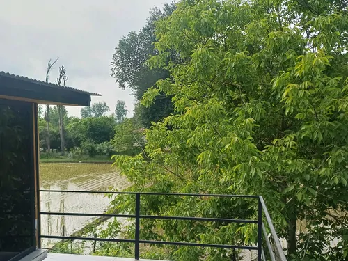 تصویر 25 - کلبه سوئدی سما در ماسال