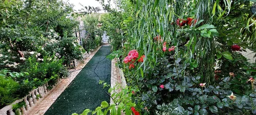 تصویر 26 - ویلا استخردار آبگرم با سقف متحرک و ایرهاکی و فوتبال دستی در  سهیلیه
