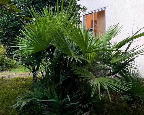 تصویر 18 - ویلا باغ ثابت در  شهسوار