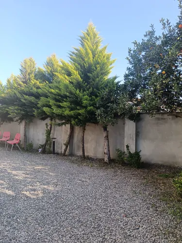 تصویر 10 - ویلا روستایی طناز در  چمستان