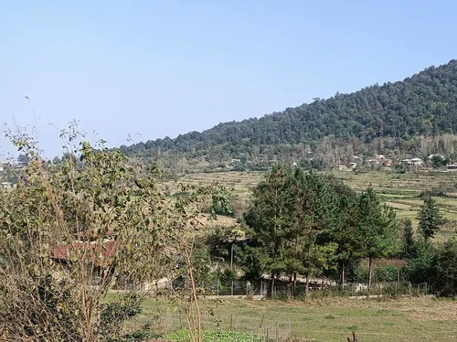 تصویر 27 - کلبه فردوسی با دیزاین چوبی در  ماسال