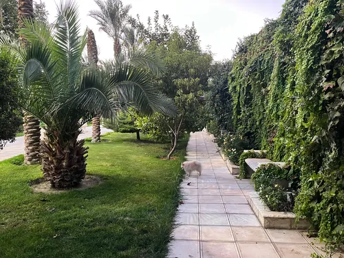 تصویر 37 - ویلا باغ ویلا استخردار آبسرد شب رویایی در  ملارد 