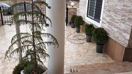تصویر 2 - ویلا دارای استخر و بیلیارد 298 در متل قو