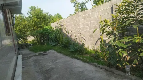 تصویر 17 - ویلا شکوفه با فوتبال دستی در  رشت