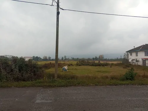 تصویر 14 - ویلا کاج در  رودسر
