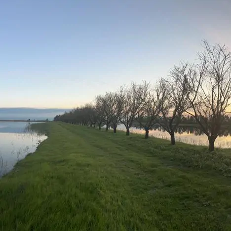 تصویر 22 - کلبه درختی سلامت با صبحانه رایگان در  بهشهر