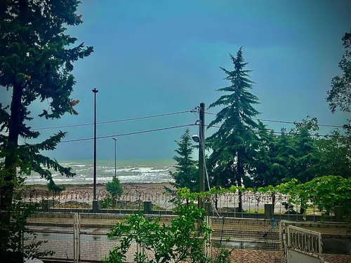 تصویر 2 - ویلا ساحلی نیلو  در  رامسر