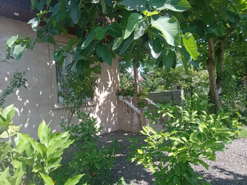 تصویر 20 - ویلا شکوفه بهار در ماسال