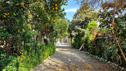 تصویر 2 - ویلا ویلاباغ ۲خواب نارنج در رامسر