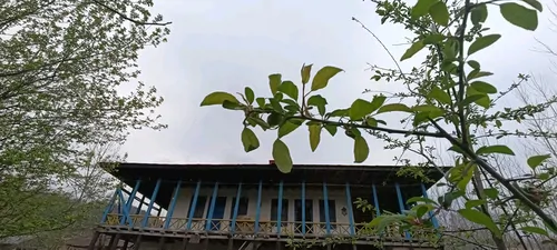 تصویر 5 - ویلا اقامتگاه بومگردی شمشاد در رشت