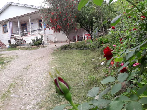 تصویر 21 - ویلا ویلایی کوهپایه در  ماسال
