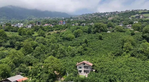 تصویر 24 - ویلا باغ سرای امیران  در  دوهزارشهسوار