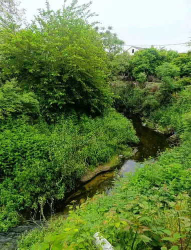 تصویر 28 - کلبه سوییسی پرستو با جکوزی در رامسر